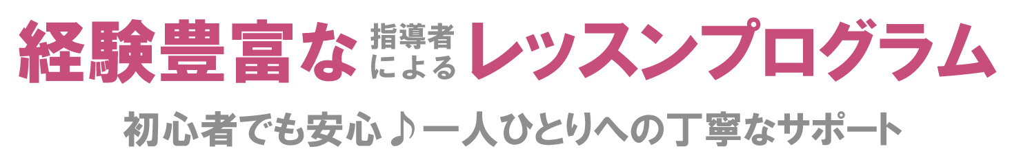 経験豊富な指導によるレッスンプログラム